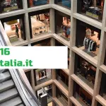 Ondata di telefonata dallo 0681156316: insistenti ma niente truffe in agguato